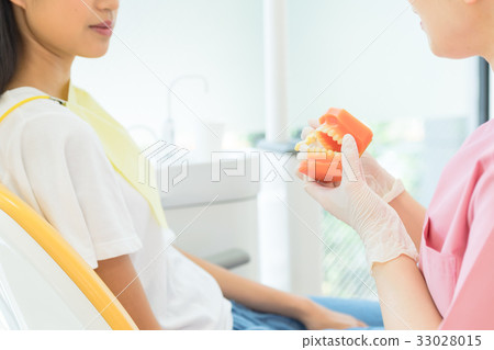 牙科，牙科保健師，牙醫，女人，刷牙指令 33028015