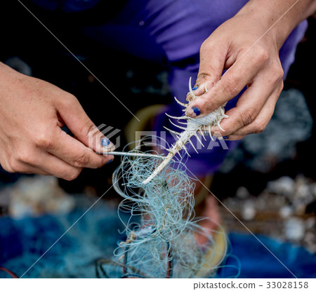 fisherman working harbor, fresh seafood at harbor fisherman working harbor, fresh seafood at harbor 33028158