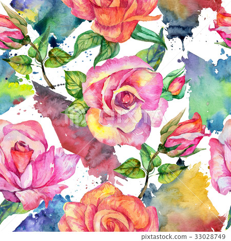 Wildflower rose flower pattern in a watercolor 33028749