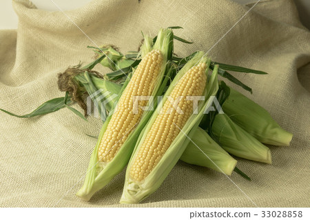 Corn Corn 33028858