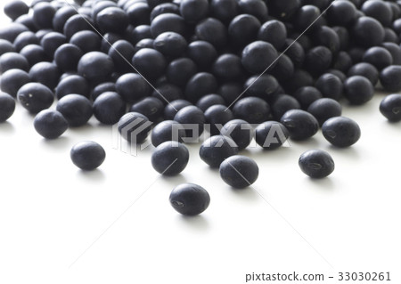 Black soybean 5 33030261