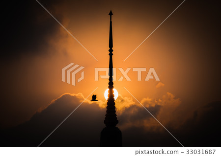 Bird flying with pagoda sunset background 33031687