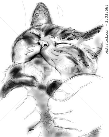 貓的插圖 貓的插圖 33035663