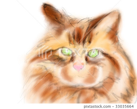 Cat illustration Cat illustration 33035664
