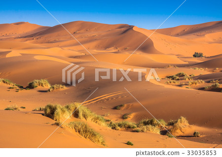 Sand Dunes in the Sahara Desert, Merzouga, Morocco 33035853
