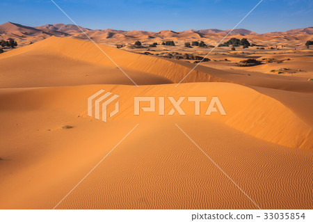 Sand dunes in the Sahara Desert, Merzouga, Morocco Sand dunes in the Sahara Desert, Merzouga, Morocco 33035854