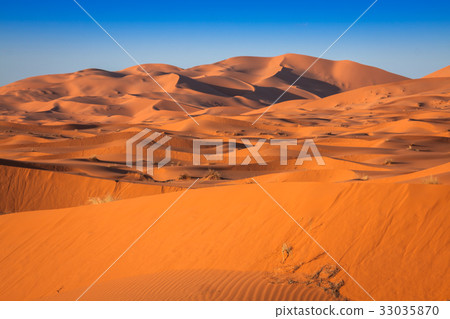 Sand Dunes of Erg Chebbi int he Sahara Desert 33035870