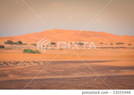 Sand Dunes in the Sahara Desert, Merzouga, Morocco 33035946