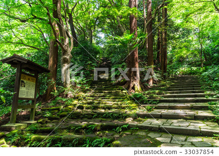 Kamakura Yusen-ji Temple approach to the stone 33037854