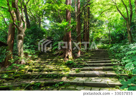 Kamakura Yusen-ji Temple approach to the stone 33037855