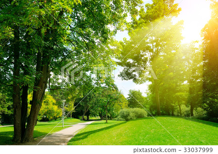 Bright sunny day in park. Bright sunny day in park. 33037999