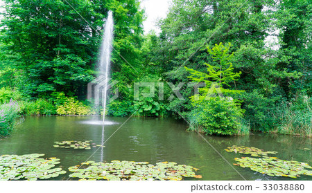 Fountain in motion. Plants and pond. Fountain in motion. Plants and pond. 33038880