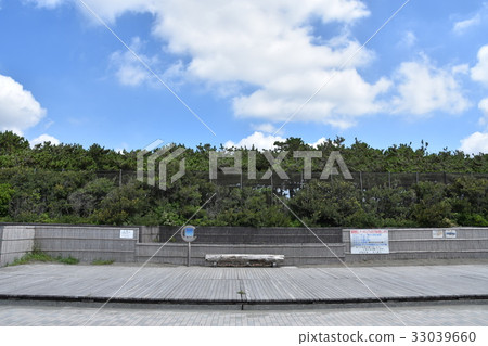 Chigasaki coast of summer 33039660