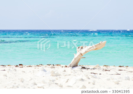 Hatohama Hatohama 33041395