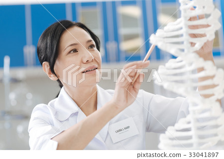 Pleasant nice woman studying the DNA model 33041897
