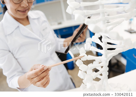 Professional female scientist holding a pencil Professional female scientist holding a pencil 33042011