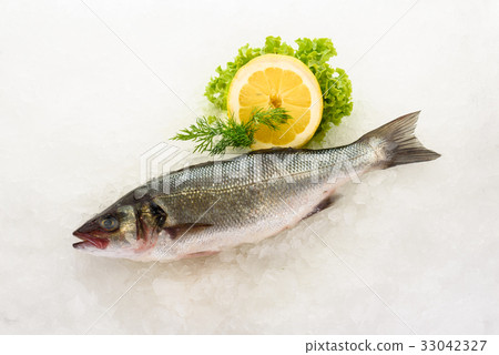 Fresh perch fish on ice. Ready for cooking. 33042327