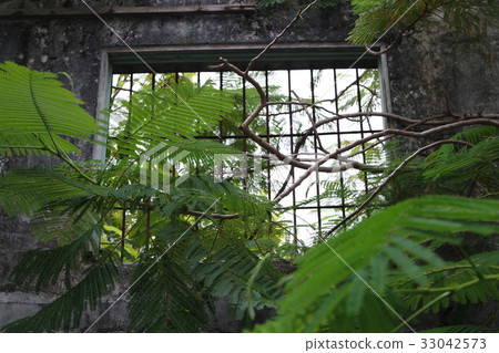 Tree House Window , Tainan , Taiwan Tree House Window , Tainan , Taiwan 33042573