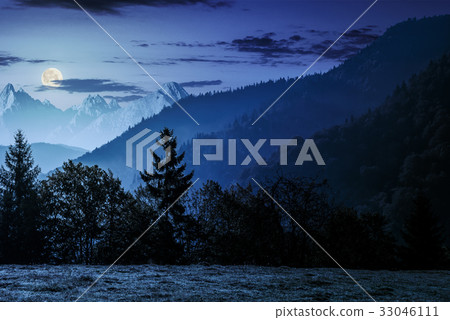 Forest on the hillside in High Tatras at night Forest on the hillside in High Tatras at night 33046111