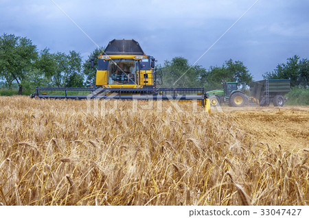 combine harvester combine harvester 33047427