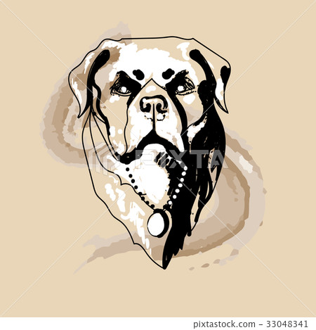 Rottweiler dog Logo Rottweiler dog Logo 33048341