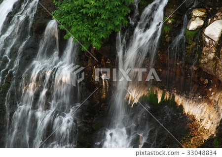 White bearded waterfall 33048834