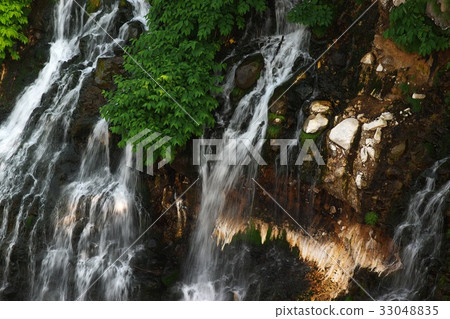 White bearded waterfall 33048835