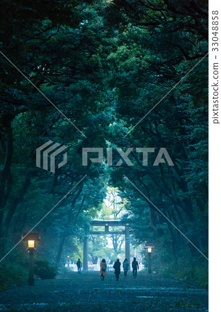 Approach to Tokyo Meiji Jingu Shrine 33048858