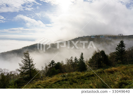 Morning of the Mikigahara Plateau 33049640