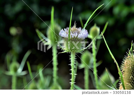 Chisel Chisel 33050138