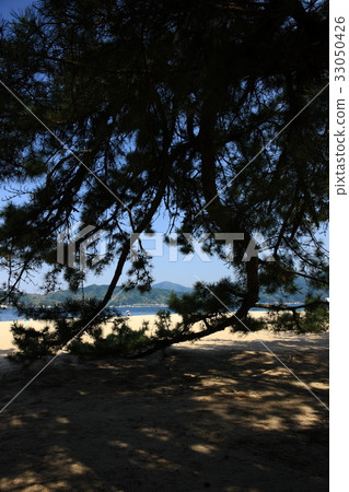 From Amanohashidate 33050426