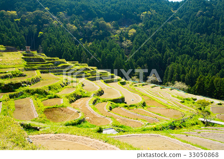 Maruyama Senjita 04 33050868