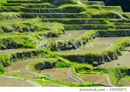 Maruyama Senjita 05 Maruyama Senjita 05 33050871