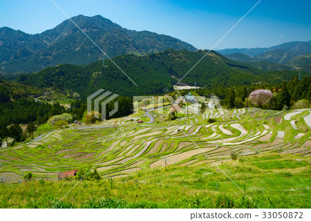 Maruyama Senjita 06 Maruyama Senjita 06 33050872
