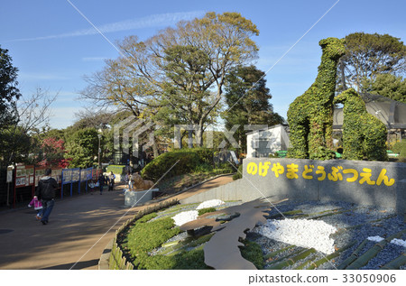 Nogeyama zoo 33050906