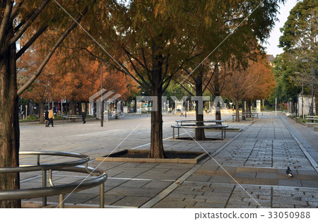 大通公園 33050988