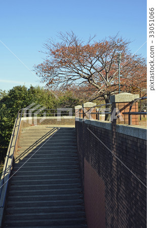 根岸森林公園 33051066