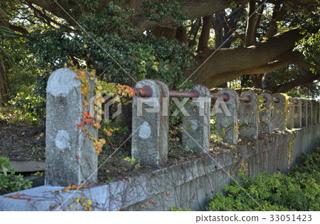 根岸森林公園 根岸森林公園 33051423