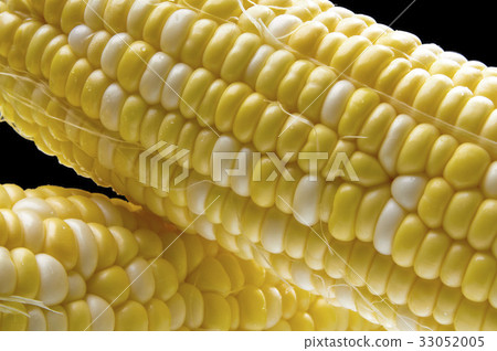 被剝皮的成熟甜玉米 33052005