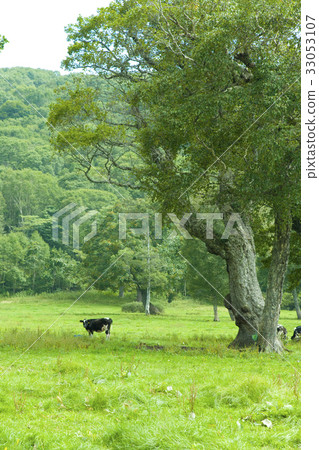 Kaya的Hira高原 33053107