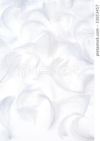 羽毛 羽毛 33053457