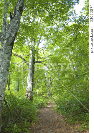 Kaya的Hira高原 Kaya的Hira高原 33053874