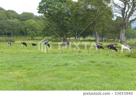 Hira Plateau of Kaya Hira Plateau of Kaya 33053940