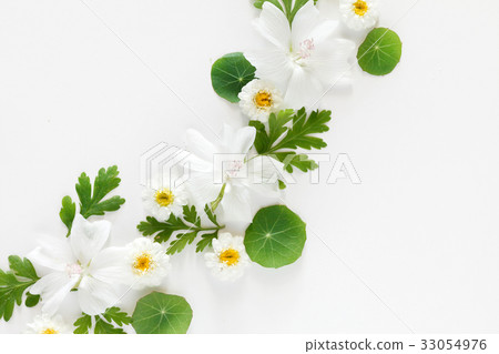 floral composition floral composition 33054976