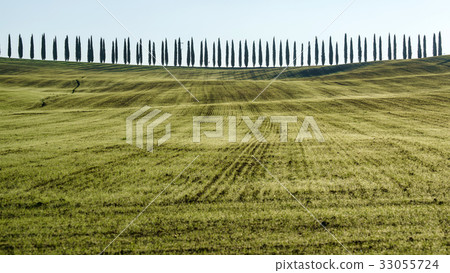 Tuscany landscape 33055724