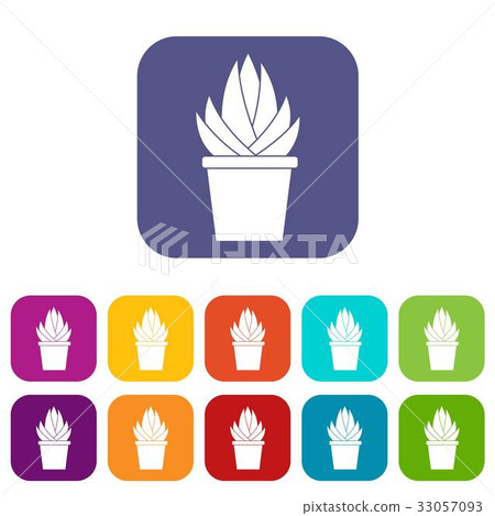 Aloe vera plant icons set flat 33057093