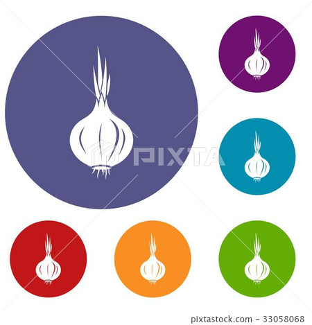 Onion icons set 33058068