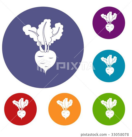 Fresh beetroot icons set Fresh beetroot icons set 33058078