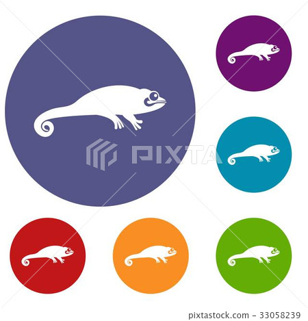 Chameleon icons set Chameleon icons set 33058239