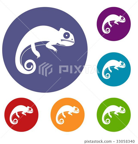 Chameleon icons set Chameleon icons set 33058340